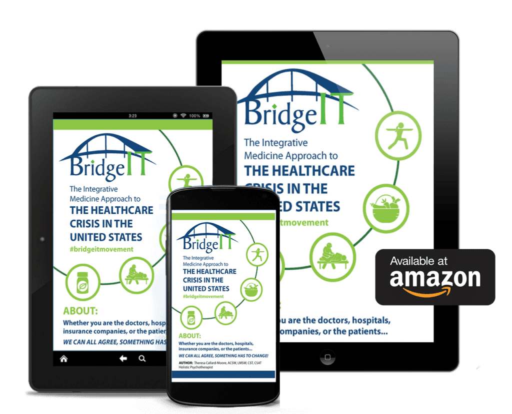 BridgeIT Movement The Healthcare Crisis In the United States Book Available on Amazon
